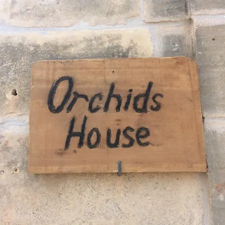 Orchid House Xaghra